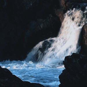 Meet your Posher, Lizzeth